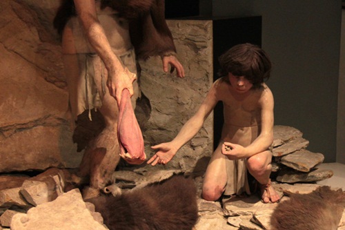 The cause of Neanderthal extinction
