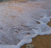 The cause of sea foam