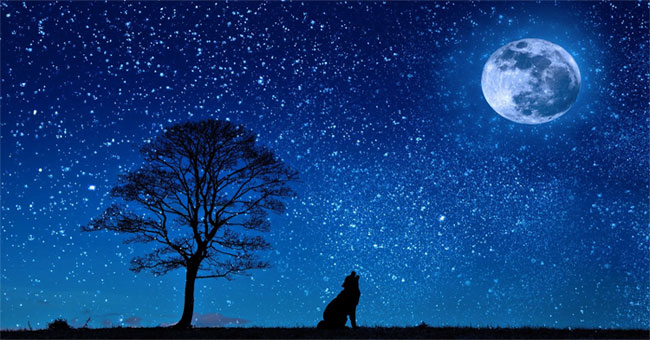 The cause of the planet is not flashing like stars