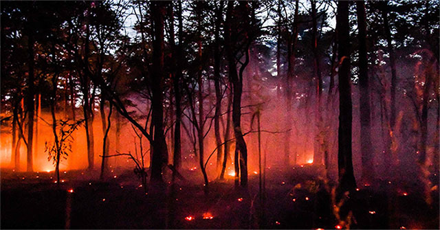 The cause of unusual heat waves and recent forest fires