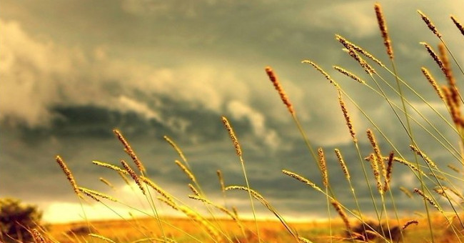 The cause of wind, tide and sea currents
