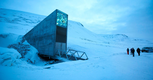 The cellar contains anti-apocalyptic seeds flooded by melting ice