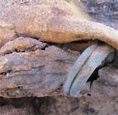 The cemetery is more than a million mummies in Egypt