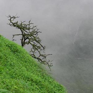 The Central Highlands and the South appear rotten season