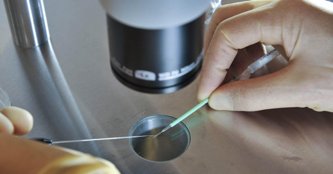 The child was born by 3 parents who are about to be born in England
