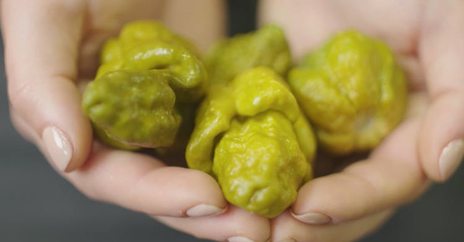 The chilli is so hot that it only bites 1 shot, this will be your last meal
