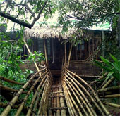 The cleanest village in the world - Where women own