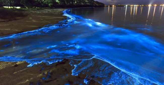 The coast glows miraculously in the island nation of Maldives