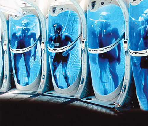The cold world of immortality