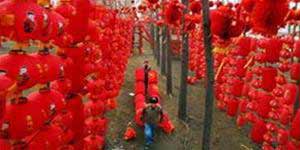 The color of the year of Binh Tuat