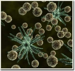 The concentration of allergens at an increased place leads to asthma