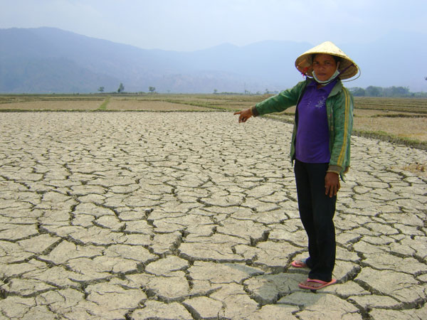 The country has nearly 50,000 hectares of locally drought-prone crops