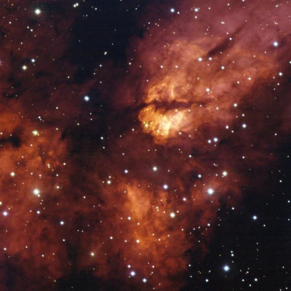 The cradle of the solar system