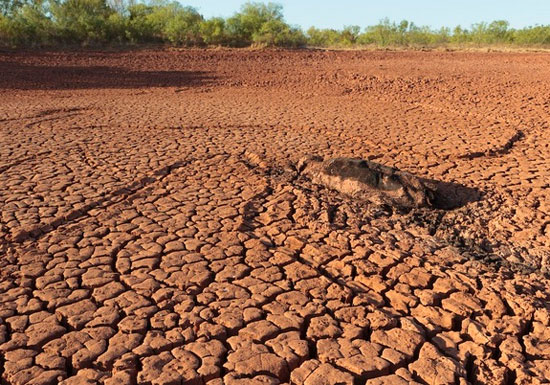 The creature is destroyed by drought