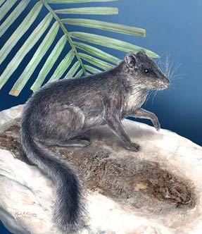 The creature returned from the dead after 11 million years