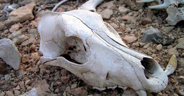 The creepy mystery of souls in Death Valley