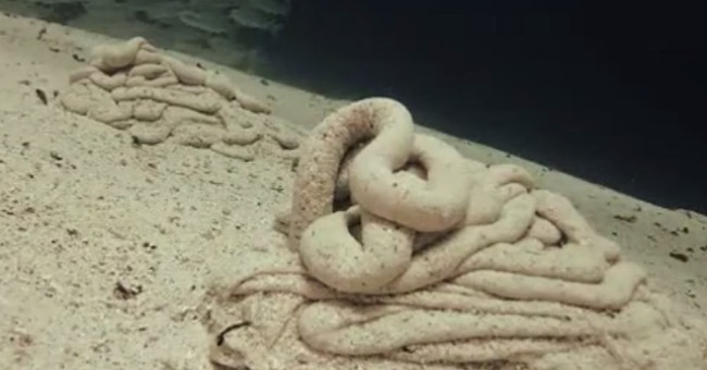 The culprit follows extruded sand dunes like the seabed
