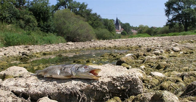 The culprit sucking water makes the river section more than 1,000 meters disappear