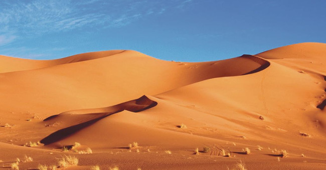 The culprit turns the Sahara prairies into arid deserts