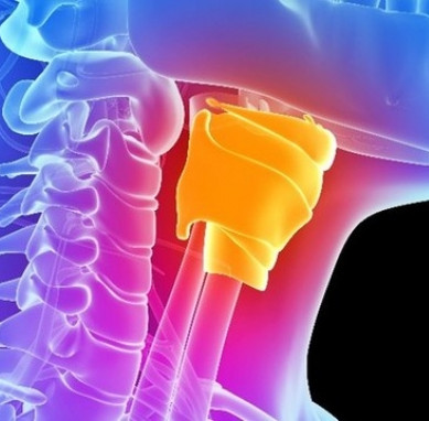 The culture successfully implements the artificial vocal cords that help mute people speak