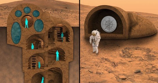 The day when humans received the wedding night on another planet would not be far from the 5 plans