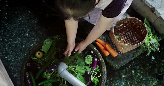 The 'decoding' of Japanese carp's water filtration system made the whole world admired