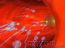 The device recognizes strong or weak sperm
