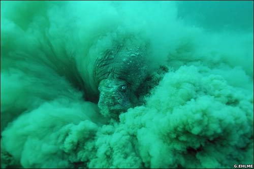The devil in sandstorm - the most beautiful nature photo of 2006