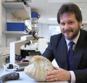 The dinosaur fossils perfectly match the evolutionary tree