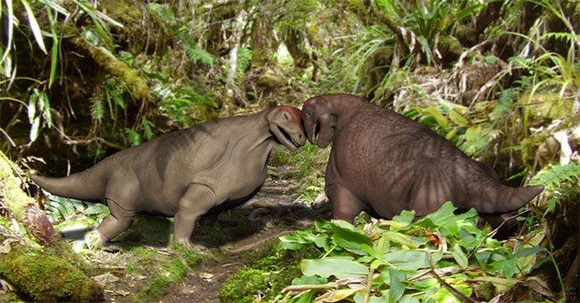 The dinosaur has a thick skull like armor