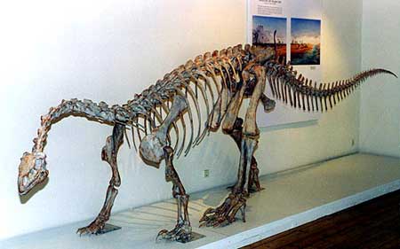 The dinosaurs also have warm blood