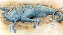 The dinosaurs were re-infected with helminths