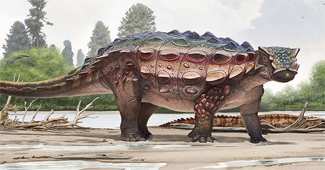 The discovery of fossil-covered dinosaur-covered fossils in America