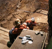 The discovery of the ability to exchange genes between ancient humans
