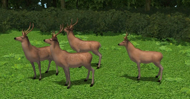 The disease turns deer into living corpses that can infect humans