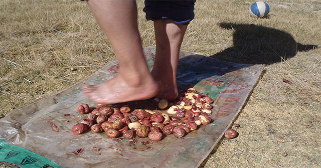The dish that looks like a stone, wants to enjoy must use foot trampling