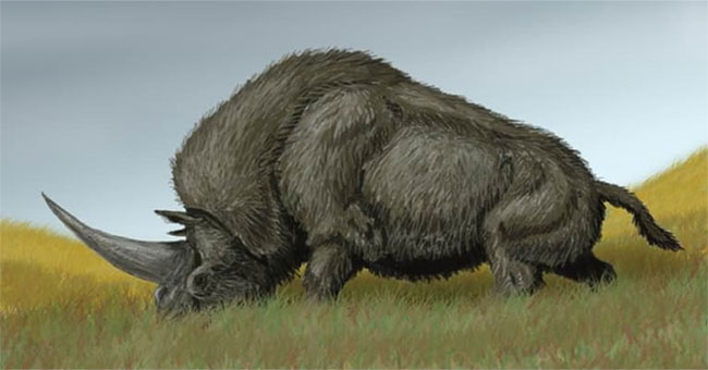 The DNA of the mysterious Siberian unicorn species was first analyzed