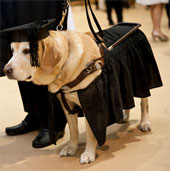 The dog received a master's degree from the US government