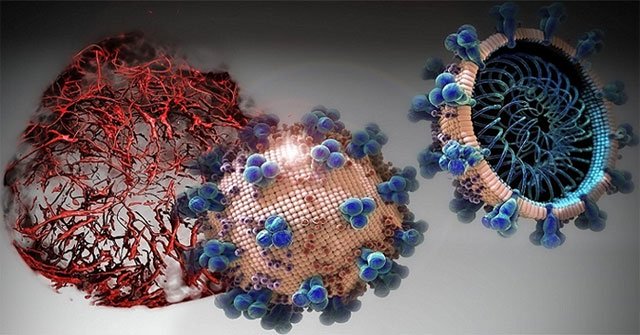 The drug discovery caused nCoV to multiply 1,000 times slower