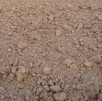 The Earth is about to lose 1/3 of its food land