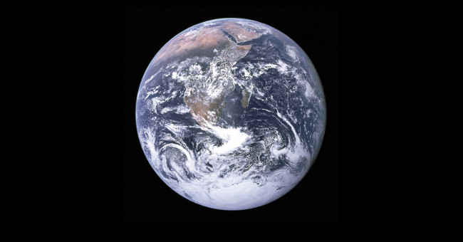 The Earth is in the sixth great extinction