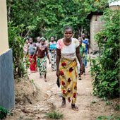 The Ebola virus journey destroys the human body in an obsessive image
