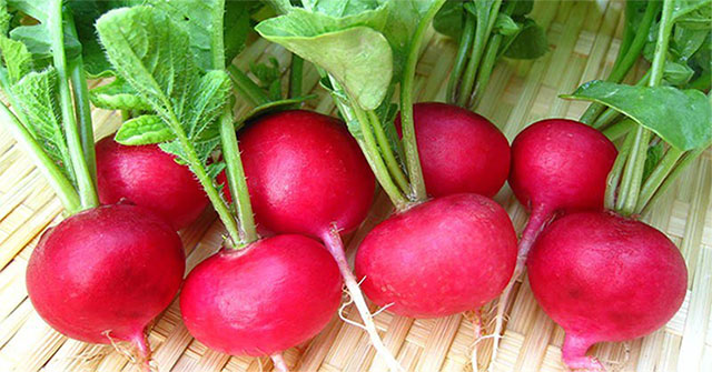 The effects and harms of red radish when eating should be noted
