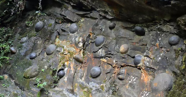 The 'egg laying' cliff in China confuses the scientific community