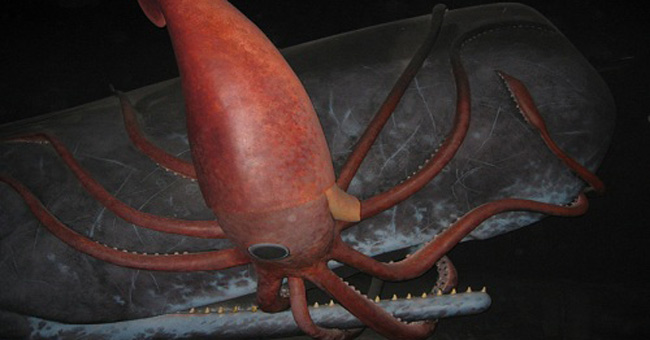 The embodiment of the giant squid monster in legend