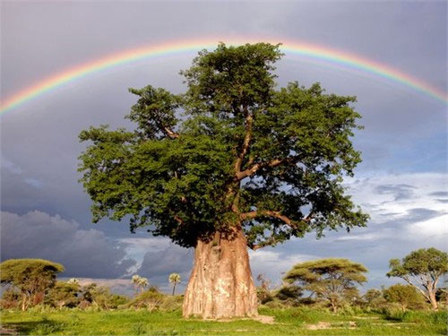 The enchanting beauty of the rainbow