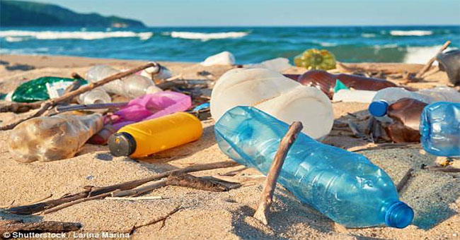 The end of the era of plastic garbage is probably coming soon, thanks to this invention
