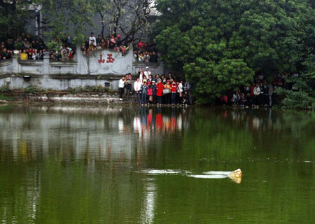 The evidence proves that Ho Guom Turtle is 'descendant' of turtle god