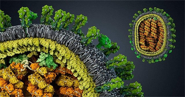 The evolution of disease and the history of the human race against viruses