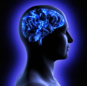 The evolutionary origin of intelligence